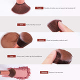 Syntus Makeup Brush Set, 16 Makeup Brushes & 4 Blender Sponge & 1 Brush Cleaner Premium Synthetic Foundation Powder Kabuki Blush Concealer Eye Shadow Makeup Brush Kit